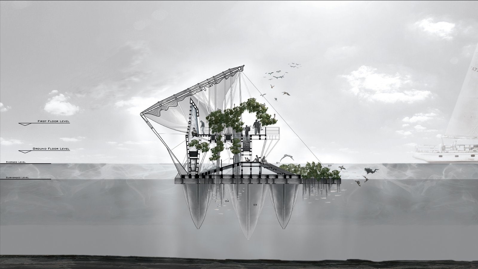 Conceptual Project 01 — Galapagos floating pavilion, cross section